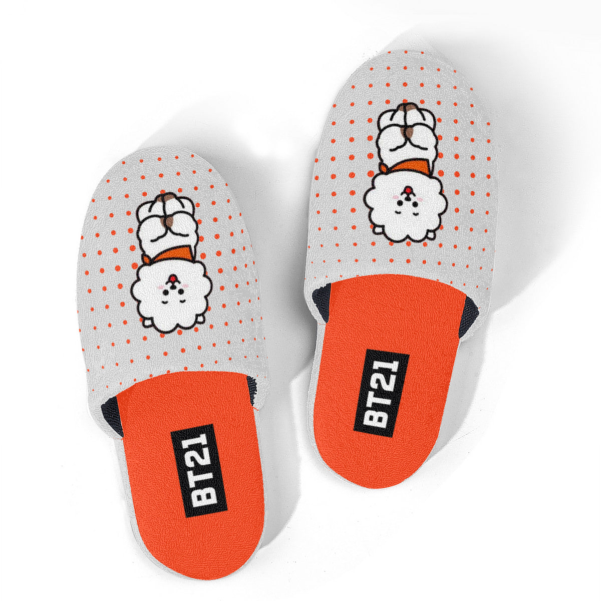 RJ Slippers - BTS JIN